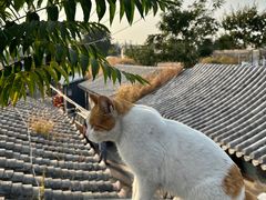 -前叁門