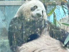 -成都动物园