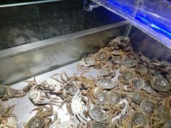 -欢乐牧场海鲜烤肉自助(牡丹园店)