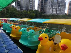 -千岛湖-欢乐水世界