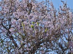 -北京西国贸大酒店