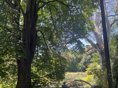 -墨尔本皇家植物园
