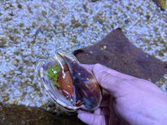 -多彩贵州城极地海洋世界