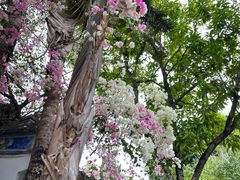 -深圳国际园林花卉博览园