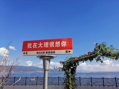 -大理洱海