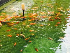 picture-悦湖公馆