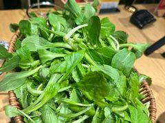 -老凯俚酸汤鱼(多彩城店)