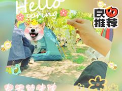 -天津东丽湖风景区