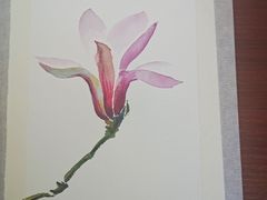 -八哥美术·成人美术画室(总校区)
