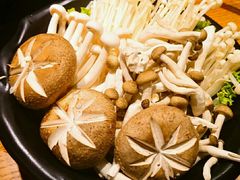 五味菌菇-呷哺呷哺(松江开元店)