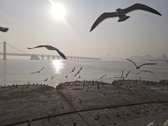-星海广场