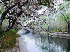 -元大都城垣遗址公园