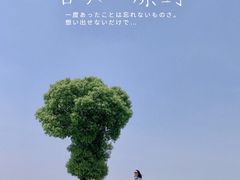 -山明水秀大饭店