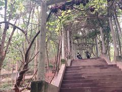 -老君山