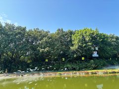 -广州长隆飞鸟乐园
