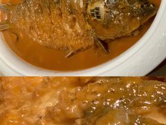 -阿五黄河大鲤鱼(纬三路店)