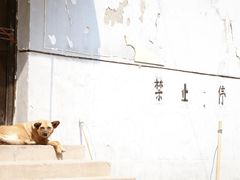 -济南轻骑摩托车有限公司(和平路)