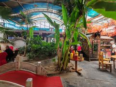 -漕河全驴宴饭店(徐水店)