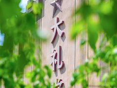 -乌村