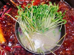 -莽子老火锅(大坪店)