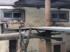 -青藏高原野生动物园
