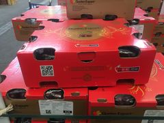 -西郊国际农产品交易中心