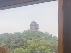 -七欣天香辣蟹火锅(南京建宁路大观天地店)