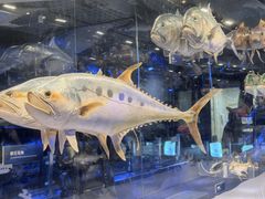 -国家自然博物馆