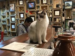-咖法森林·咖啡  酒吧(天河店)