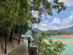 -广州市流溪河国家森林公园