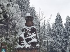 -武陵山森林公园