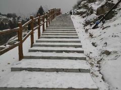 -白水寺森林公园