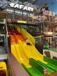 -卡通尼·Safari非洲探索乐园·生日会(金桥国际商业广场店)