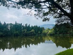 -云南民族村