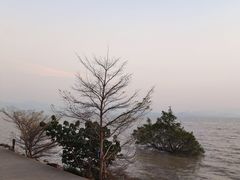 -深圳湾公园(南山区)