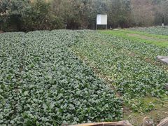 -重元寺香积厨素斋馆