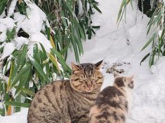 -终南山南五台景区