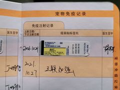 -北京观赏动物医院·24小时大型综合·猫专科·异宠专科