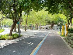 -顺峰山公园