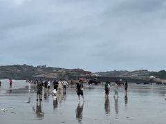 -坛南湾阿强农家乐.海鲜大排档老字号(福州地标美食店)