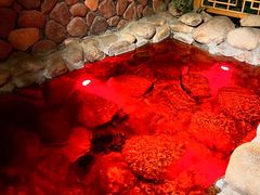 -漢頓温泉度假酒店