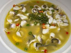 青花椒味砂锅鱼-青花椒花椒鱼(合生汇店)