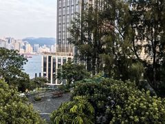 -讯号山花园