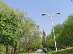 -二一九公园