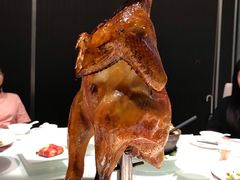 -广东道至正餐厅(区庄店)