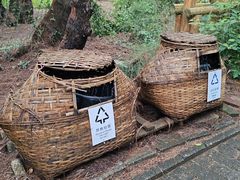 -北海金海湾红树林生态旅游区