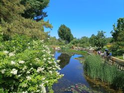 -Oasis Beauty水磨坊科技美肤中心