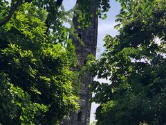 -上海佘山国家森林公园天马山园