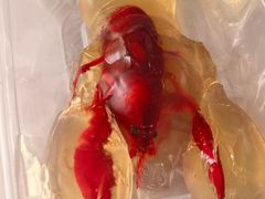 -王红军龙虾(新民路店)