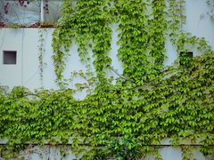 -海峡创意产业园